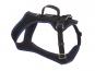 Grossenbacher FunRun Travel Autosicherheitsgeschirr blau 2