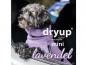 Dryup Cape Hundebademantel Mini lavendel 2