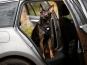 Rukka Pets Hunde-Sicherheitsgeschirr fürs Auto 2