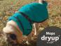 Dryup Cape Hundebademantel Mops petrol 2