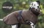 Warmup Cape Pro Hundemantel & Bademantel mocca 2