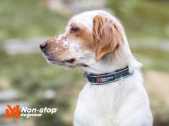Non-Stop Dogwear Hundehalsband Roam Collar grün 3