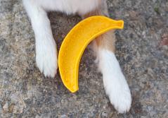 Ladi Mat Banane Schleckmatte für Hunde 3