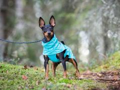 Rukka Pets Regenjacke für Hunde Hase Aqua 3