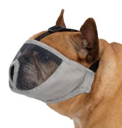 Giftköderschutz für kurznasige Hunde 3