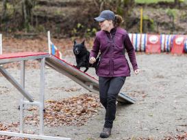 Pinewood® Abisko/Brenton Hundesport Damenhose schwarz 36 3