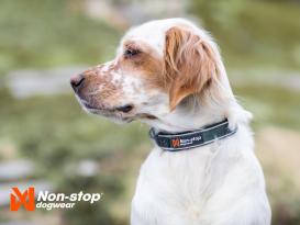 Non-Stop Dogwear Hundehalsband Roam Collar purple XL 3
