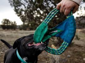 Ruffwear Pacific Ring™ Hundespielzeug Aurora Teal 3