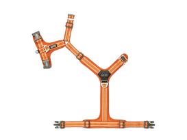 Dog Copenhagen Comfort Walk Air V3 Hundegeschirr Orange Sun S 3