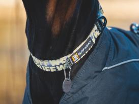 Ruffwear Front Range™ 3.0 Hundehalsband Mountains Logo 3