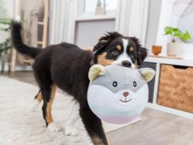 Junior Plüschbär Hundespielzeug 3