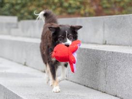 Wende-Oktopus Plüschspielzeug für Hunde 3