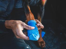 Ruffwear Bark’n Boot™ Hundesocken Blue Pool 3