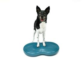 FitPAWS® Duo Disc türkis 3