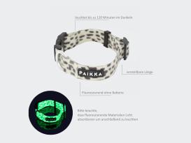 Paikka fluoreszierendes Halsband für Hunde 2.0 3