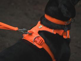 Ruffwear Front Range™ 3.0 Hundegeschirr Blaze Orange S 3