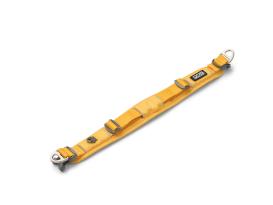 Dog Copenhagen Urban Explorer V3 Halsband Lemon 3