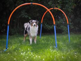 Hoopers Bogen Set aus Kunststoff ohne Mittelstrebe 3