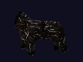 Paikka Winteranzug für Hunde coal 3