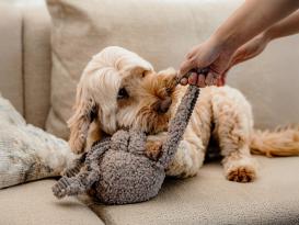 District 70 Hunde-Plüschspielzeug Squid taupe 3