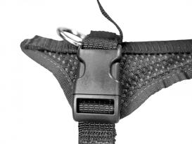 Grossenbacher Ausbildungsgeschirr ProGuide schwarz 3