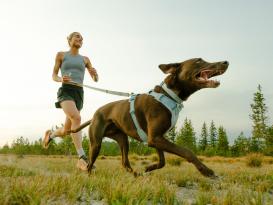 Ruffwear Front Range Flex Hundehalsband Basalt Gray 3