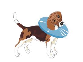 Tepaw Kragen Halskrause für Hunde Grösse 4 3