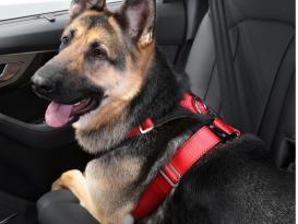 Kleinmetall Allsafe® Comfort Hunde Sicherheitsgurt TÜV geprüft -L- 3