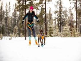 Ruffwear Polar Trex™ Hundeschuhe schwarz -44 mm- 2er Set 3