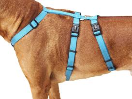 Wolters No Escape Soft & Safe Hundegeschirr aqua 70-100 cm 3