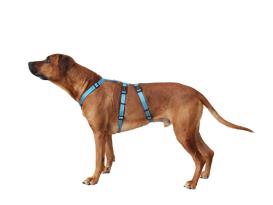 Wolters No Escape Soft & Safe Hundegeschirr schwarz 70-100 cm 3
