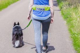 Jogging-Hüftgurt mit Hundeleine gelb 3