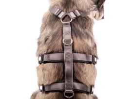 Style Snout Sicherheitsgeschirr Patch & Safe Silver M 3