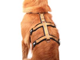 Style Snout Sicherheitsgeschirr Patch & Safe Gold M 3