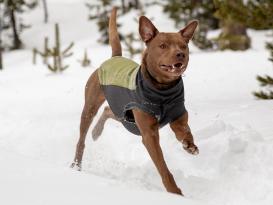 Ruffwear® Climate Changer™ Pullover cedar green -XXS- 3