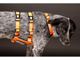Style Snout Sicherheitsgeschirr Patch & Safe Neon-Orange-Black M 3