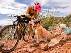 Ruffwear Swamp Cooler kühlendes Halstuch Salmon Pink/Blue Mist XL 3
