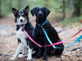 Rukka Pets Hundeleine Twist Eco red L 3