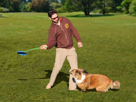 Fetchbee Frisbee für Hunde mit Wurfarm blau