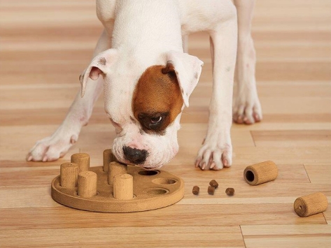 Nina Ottosson Hundespielzeug Level 1 Dog Smart Composite