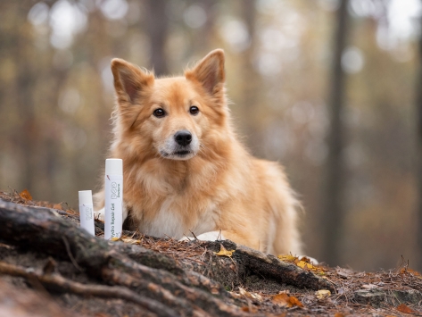 Doderm Hydro Repair Gel Pet für Hunde