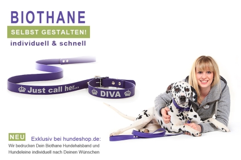 Relaxoo Biothane Hundehalsband violett 19mm breit