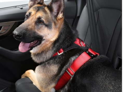 Kleinmetall Allsafe® Comfort Hunde Sicherheitsgurt TÜV geprüft