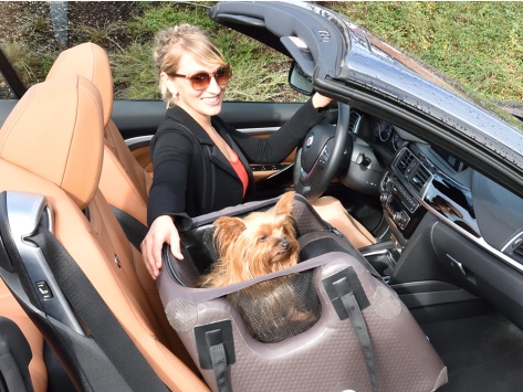 Tami Airbag Seatbox Hundebox