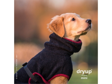 Dryup Cape Hundebademantel Mini schwarz