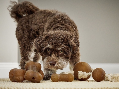 Wolters Pure Nature Spielknochen für Hunde