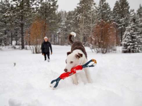 Ruffwear Pacific Loop Hundespielzeug Sockeye Red