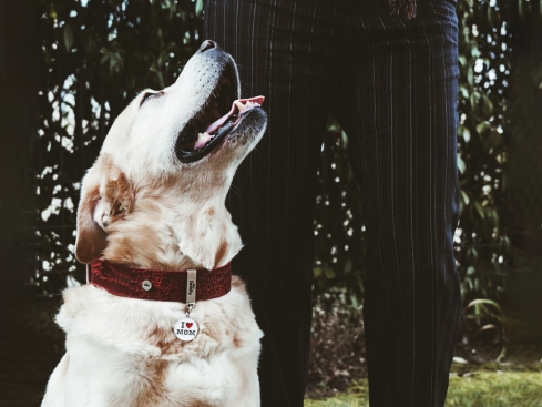 Hundemarke I Love Mom groß mit Gravur