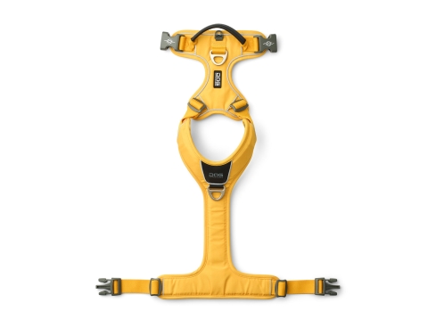 Dog Copenhagen Comfort Walk Pro V3 Hundegeschirr Lemon