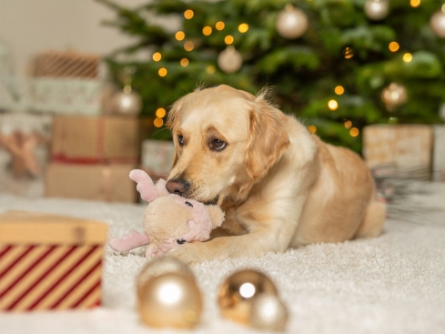 Weihnachts-Plüsch-Rentier für Hunde beige